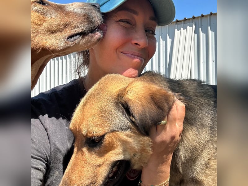 Burbon sucht sein forever Home❤️