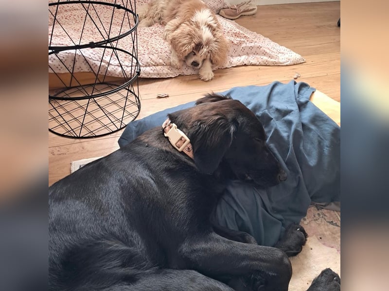 Sportliche Rosie sucht ihr Glück ❤️