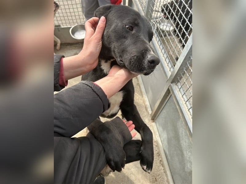 Teenie Sid sucht seine Familie ❤️