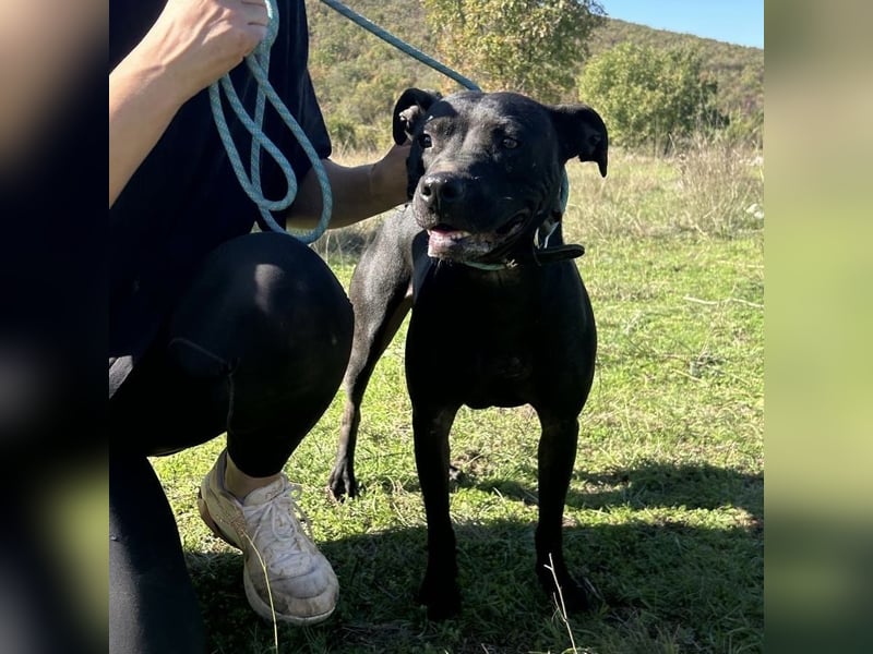 Bist du Dinas Perfect Match? ❤️