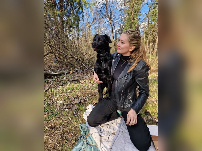 Verschmuste Eagle sucht forever Home❤️