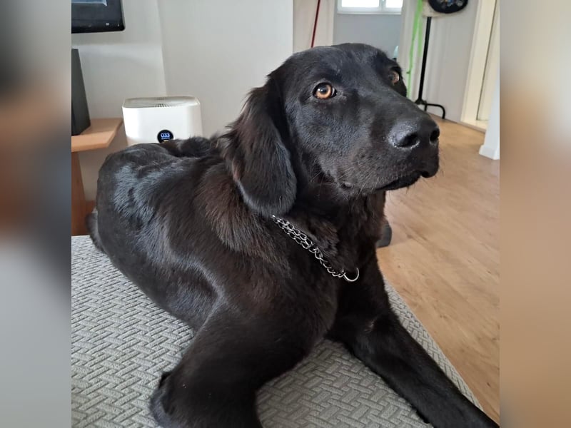 Sportliche Rosie sucht ihr Glück ❤️