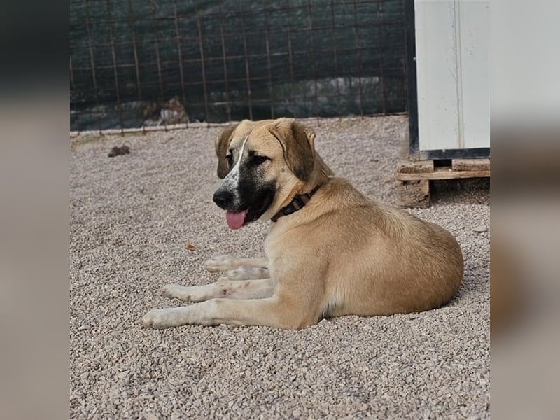 Bounty sucht ihre Familie ❤️