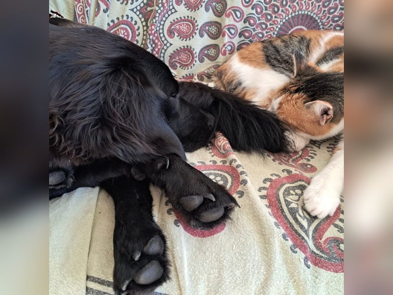 Sportliche Rosie sucht ihr Glück ❤️