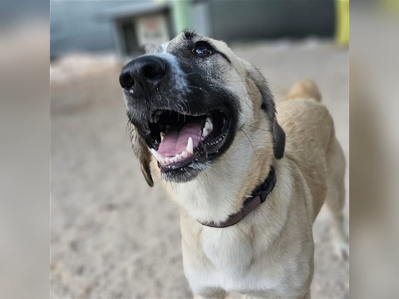 Bounty sucht ihre Familie ❤️