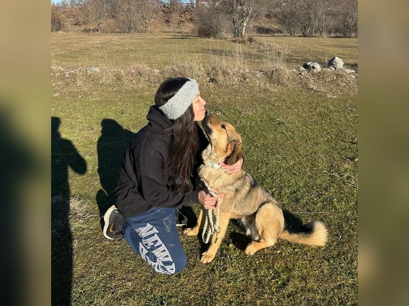 Burbon sucht sein forever Home❤️