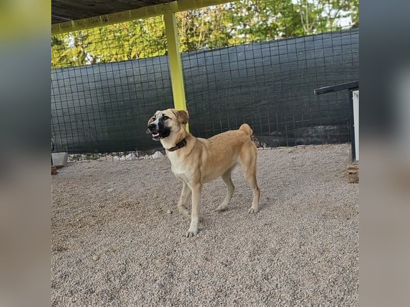 Bounty sucht ihre Familie ❤️