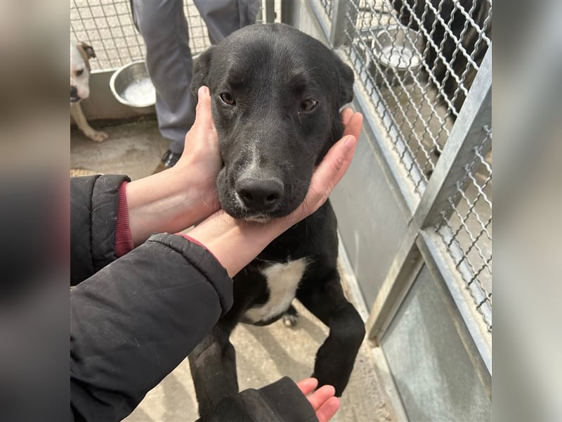 Teenie Sid sucht seine Familie ❤️