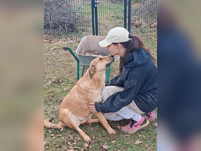 Liebevolle ANGELA sucht Familie ❤️