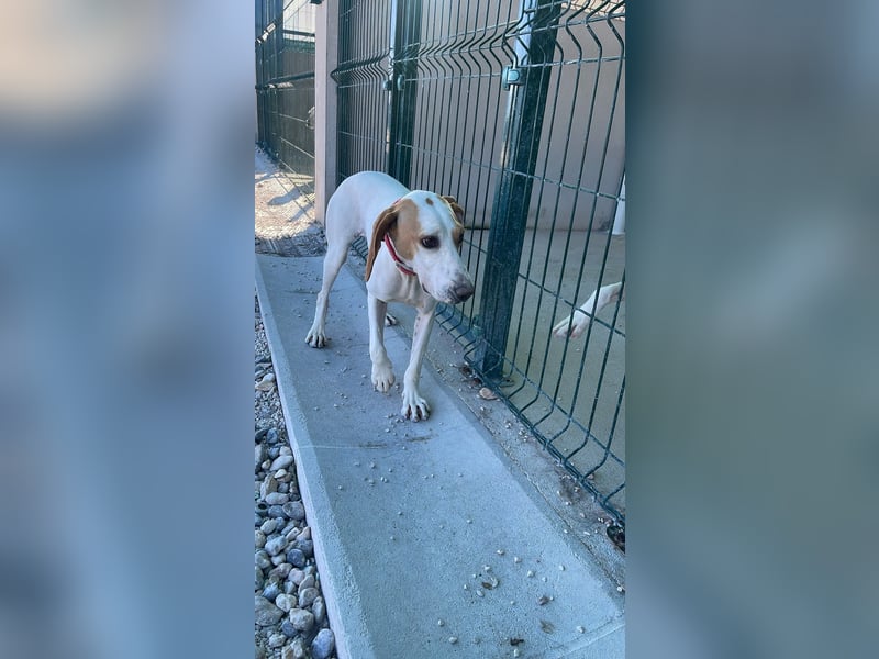Liebevolle Sunny sucht ihr Glück ❤️