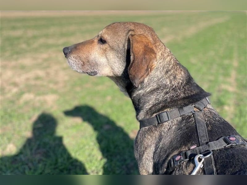 Strahlemaus Niabi sucht ihr perfect match ❤️