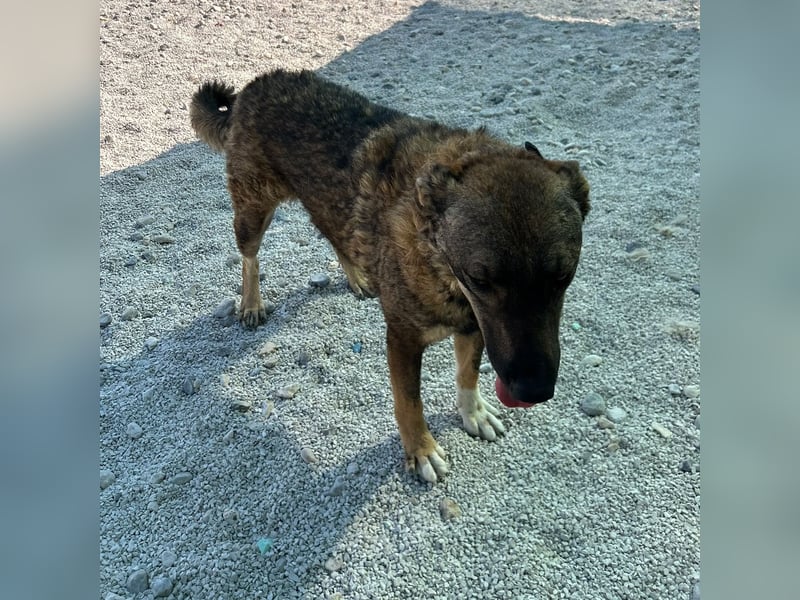 Paulina sucht ihre Herzmenschen ❤️