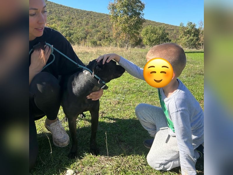 Bist du Dinas Perfect Match? ❤️