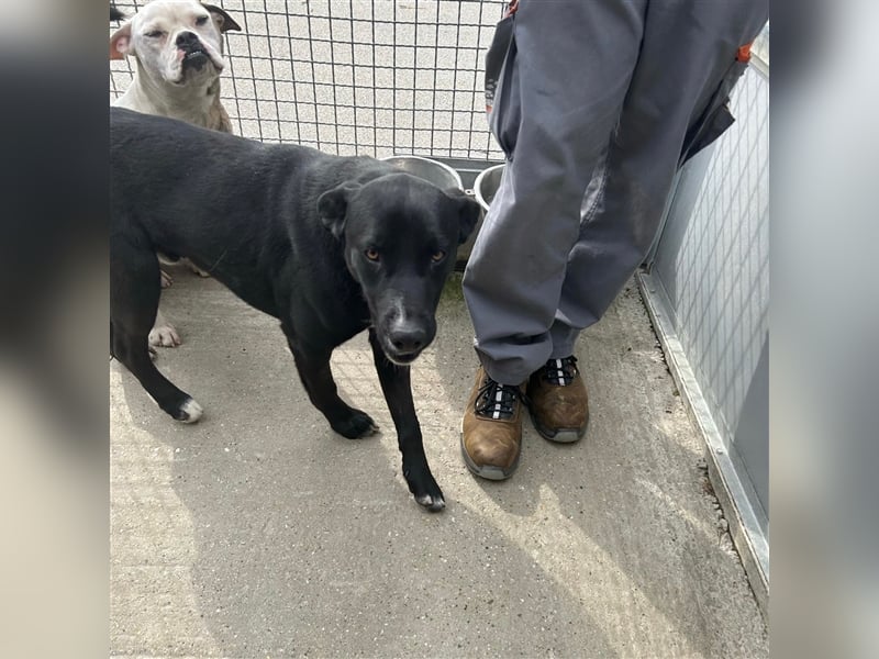 Teenie Sid sucht seine Familie ❤️