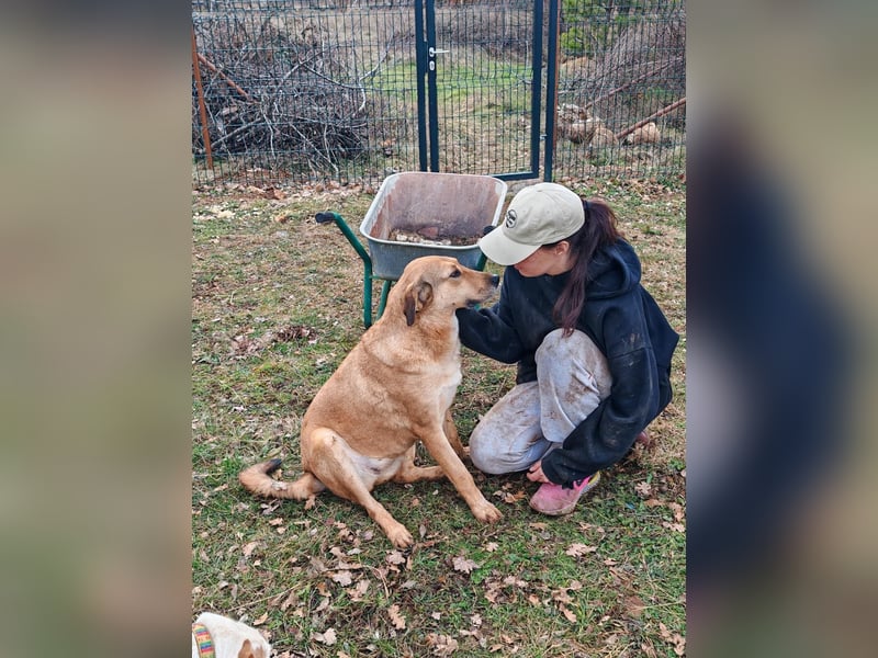 Liebevolle ANGELA sucht Familie ❤️