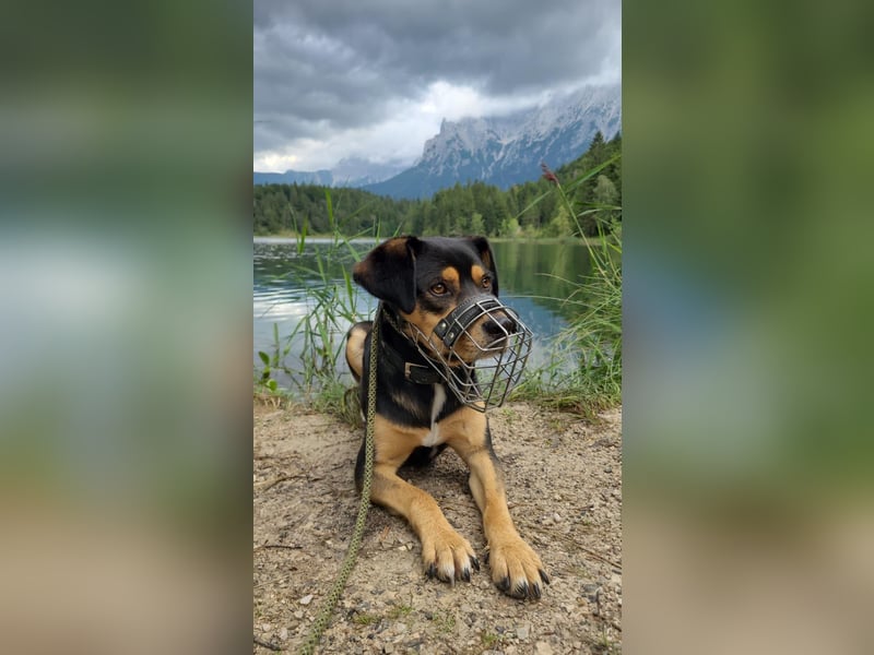 ZAKO sucht sein forever Home ❤️