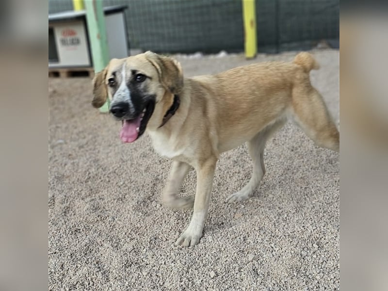 Bounty sucht ihre Familie ❤️