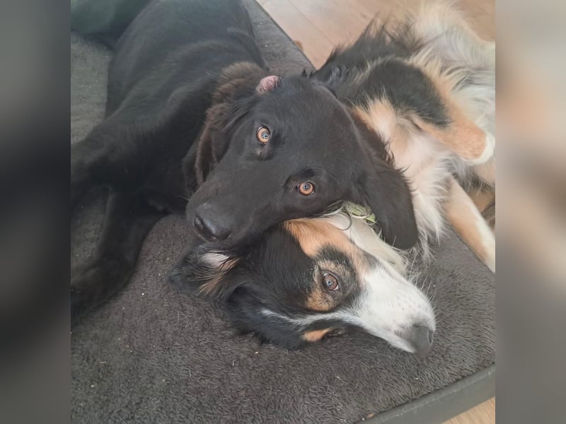 Sportliche Rosie sucht ihr Glück ❤️