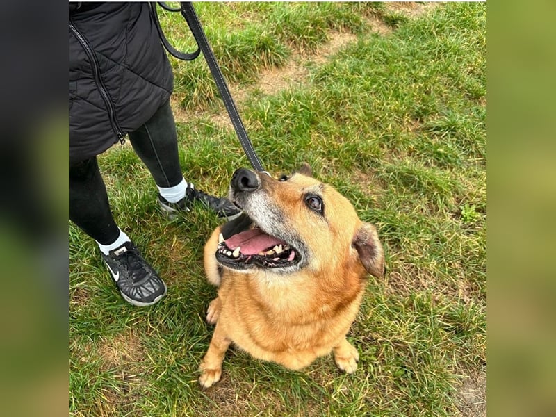 Boni sucht ihre Herzmenschen ❤️