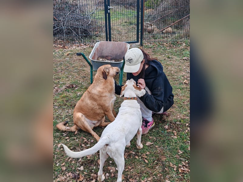 Liebevolle ANGELA sucht Familie ❤️