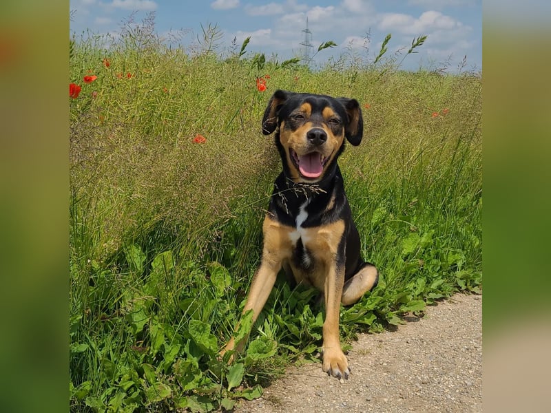 ZAKO sucht sein forever Home ❤️