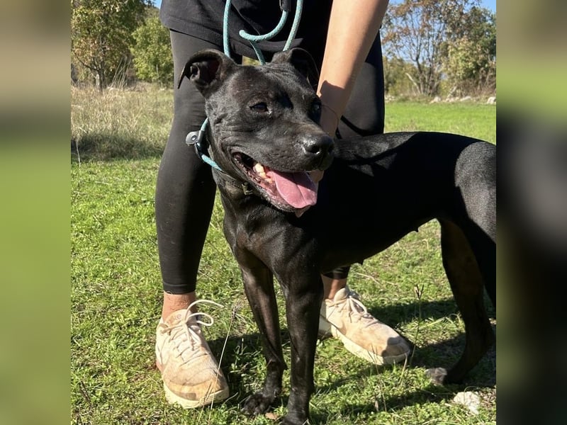 Bist du Dinas Perfect Match? ❤️