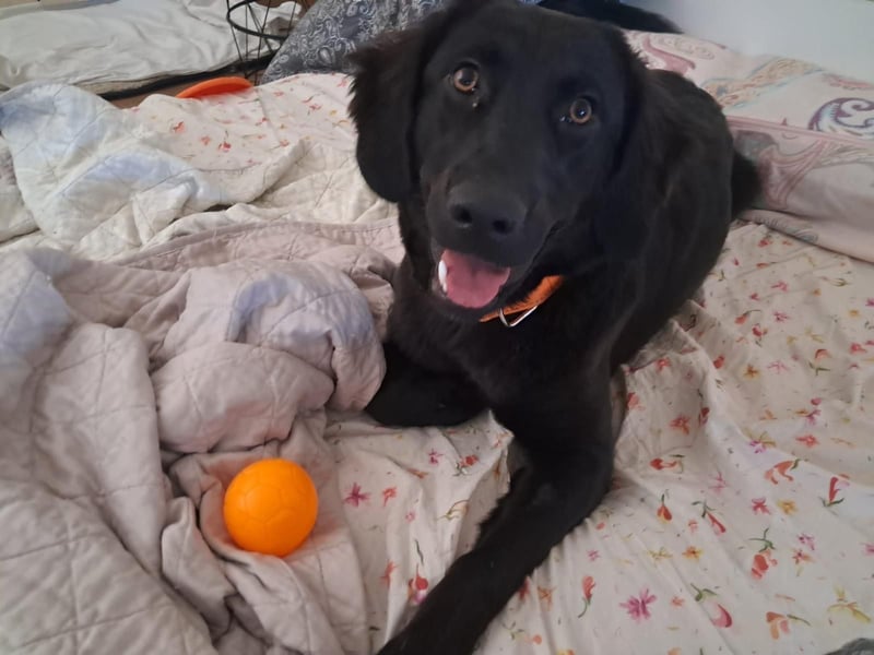 Sportliche Rosie sucht ihr Glück ❤️