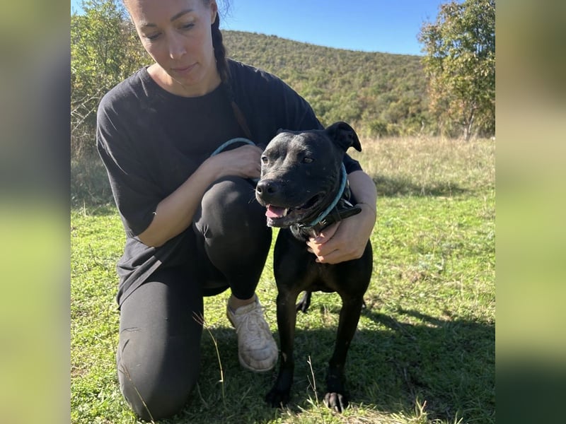 Bist du Dinas Perfect Match? ❤️