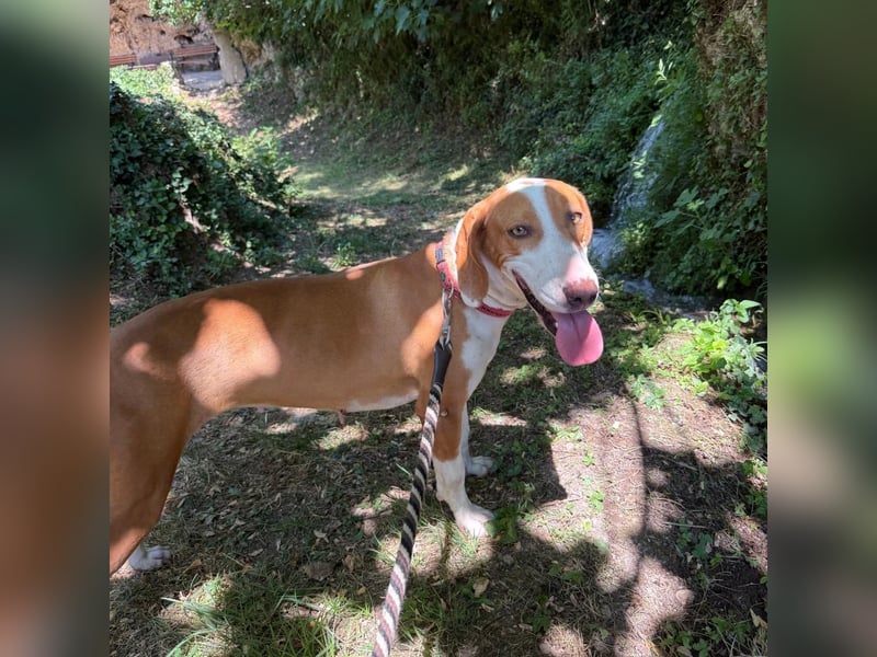 Riva sucht ihre Herzmenschen