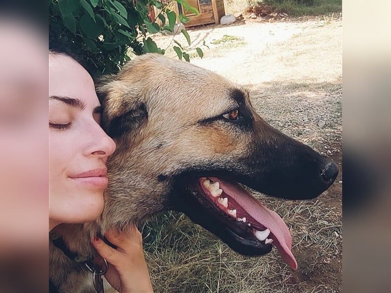 Silvia sucht ihr Zuhause ❤️