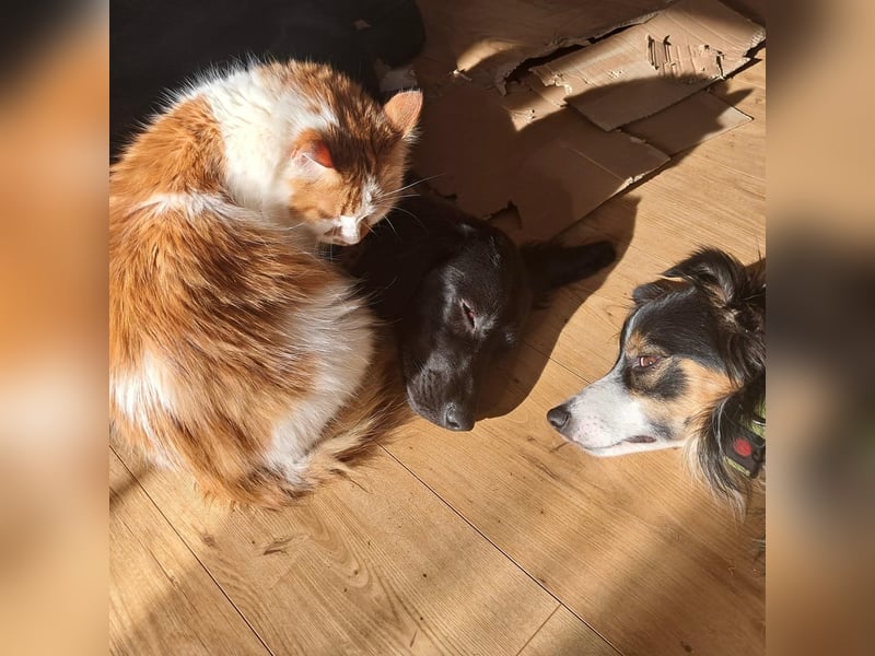 Sportliche Rosie sucht ihr Glück ❤️