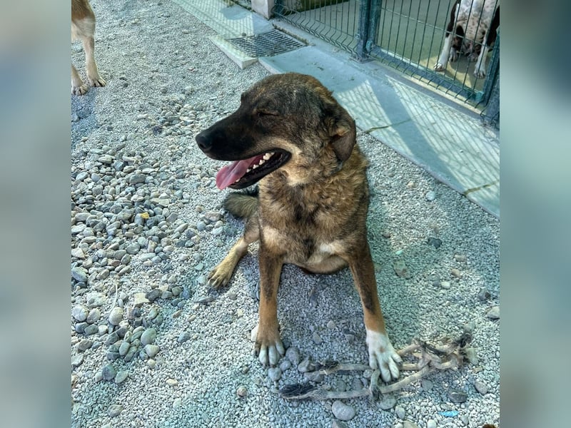 Paulina sucht ihre Herzmenschen ❤️