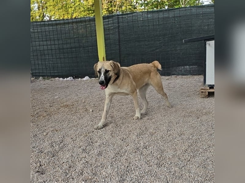 Bounty sucht ihre Familie ❤️