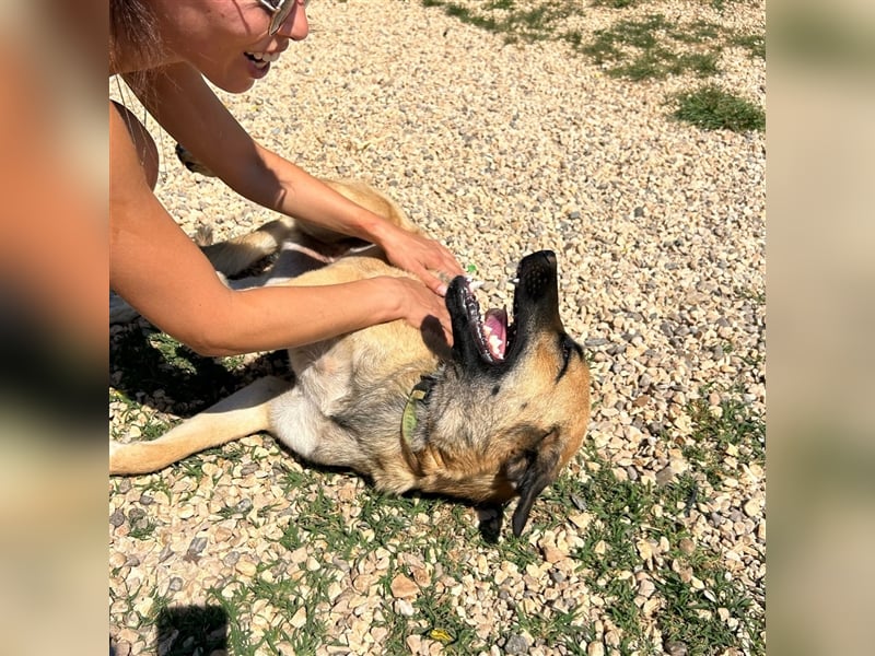 Silvia sucht ihr Zuhause ❤️