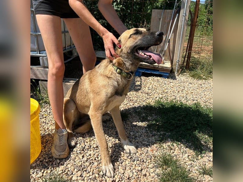 Silvia sucht ihr Zuhause ❤️