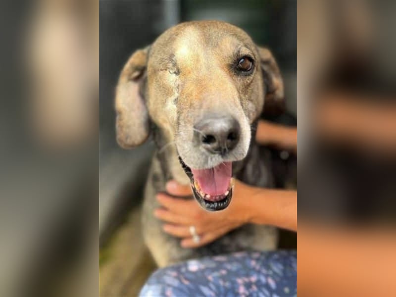 Strahlemaus Niabi sucht ihr perfect match ❤️