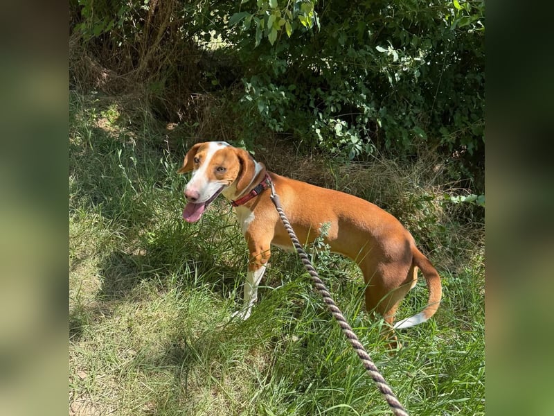 Riva sucht ihre Herzmenschen