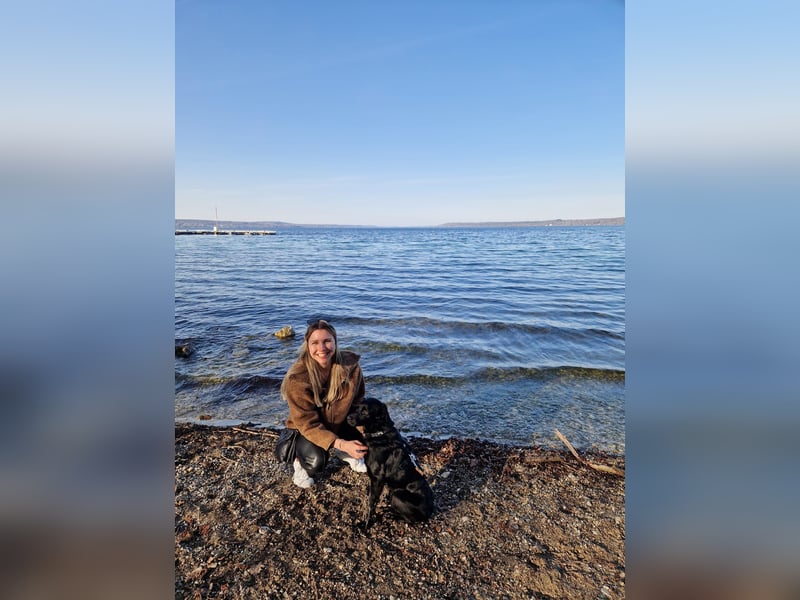 Verschmuste Eagle sucht forever Home❤️