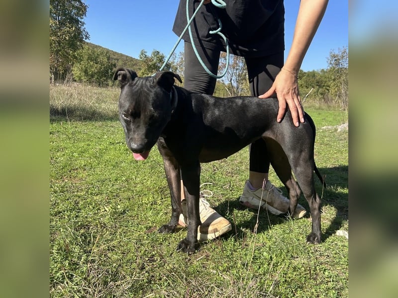 Bist du Dinas Perfect Match? ❤️