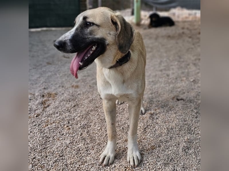 Bounty sucht ihre Familie ❤️