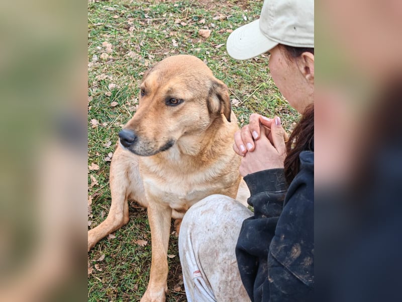 Liebevolle ANGELA sucht Familie ❤️