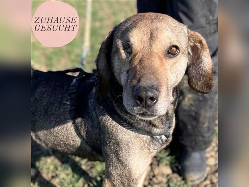 Strahlemaus Niabi sucht ihr perfect match ❤️