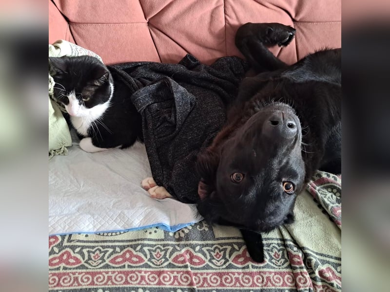 Sportliche Rosie sucht ihr Glück ❤️