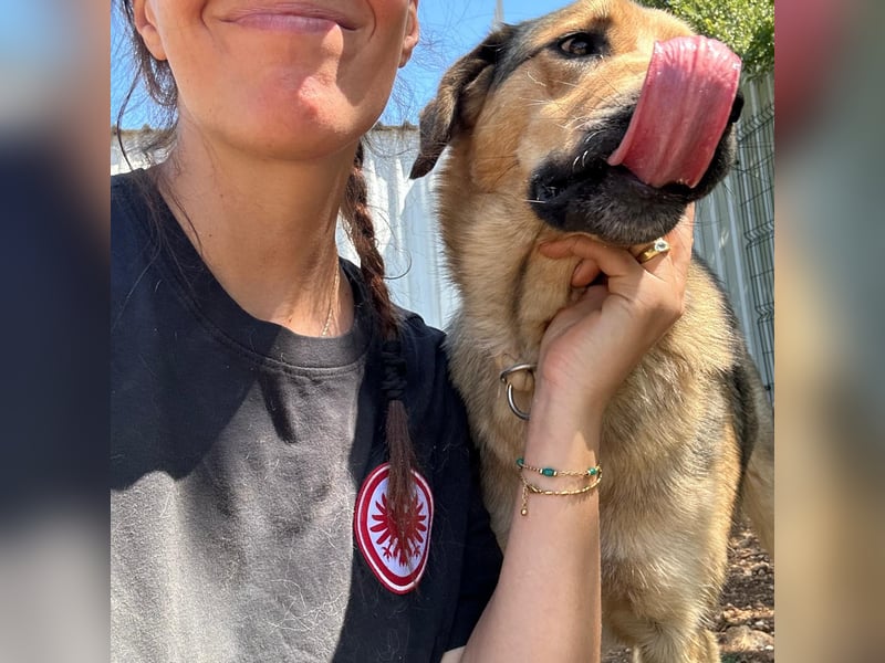 Burbon sucht sein forever Home❤️