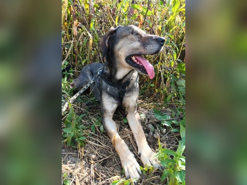 Strahlemaus Niabi sucht ihr perfect match ❤️