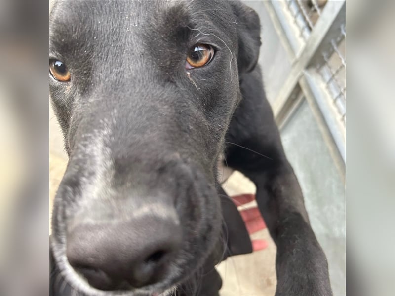 Teenie Sid sucht seine Familie ❤️