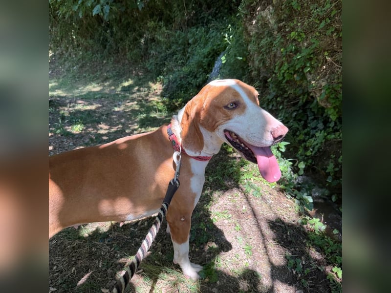 Riva sucht ihre Herzmenschen