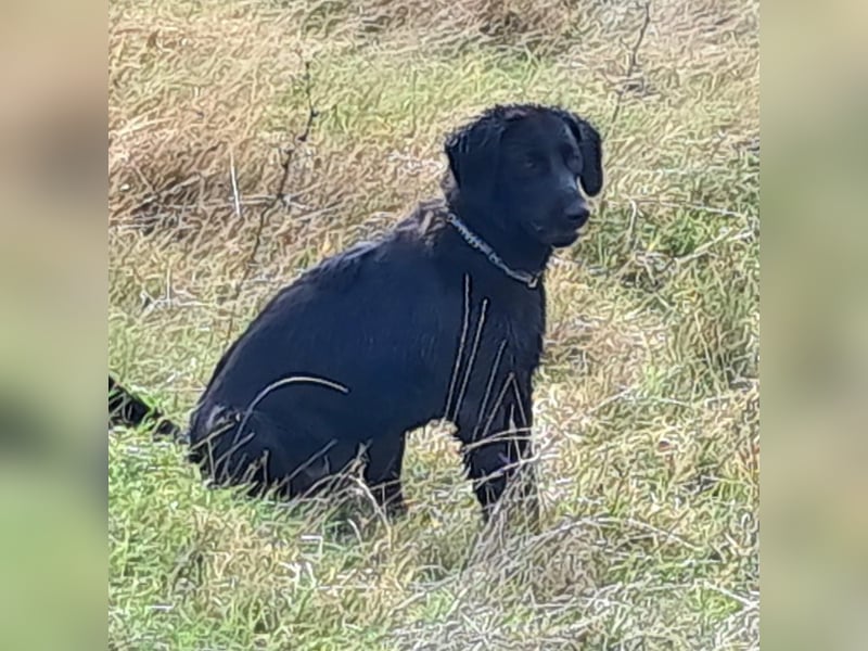 Sportliche Rosie sucht ihr Glück ❤️