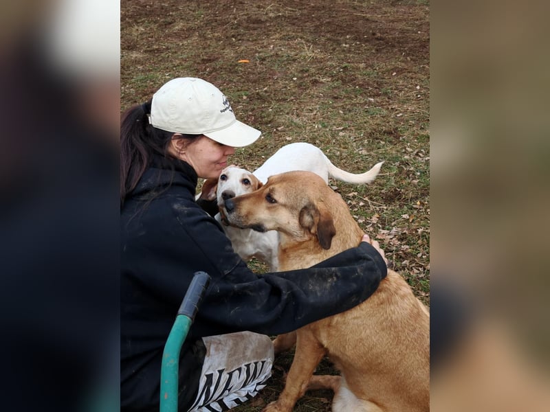 Liebevolle ANGELA sucht Familie ❤️