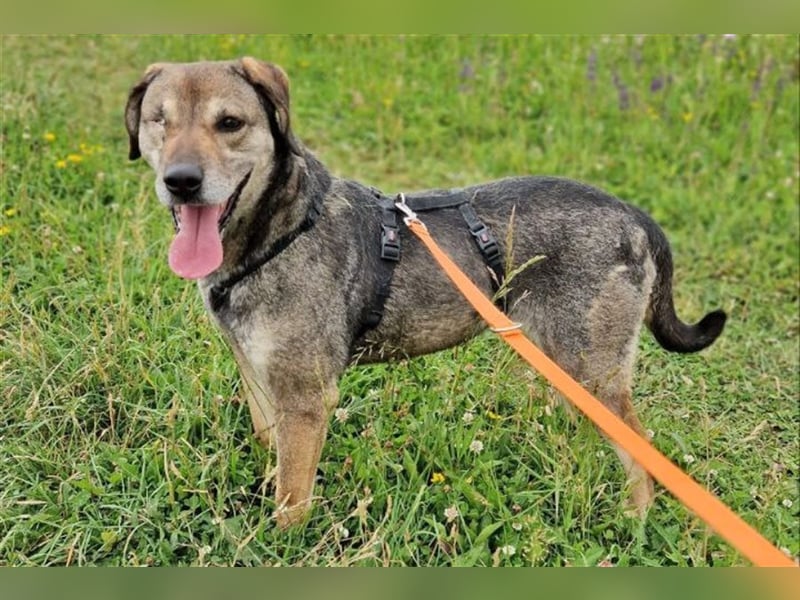 Strahlemaus Niabi sucht ihr perfect match ❤️